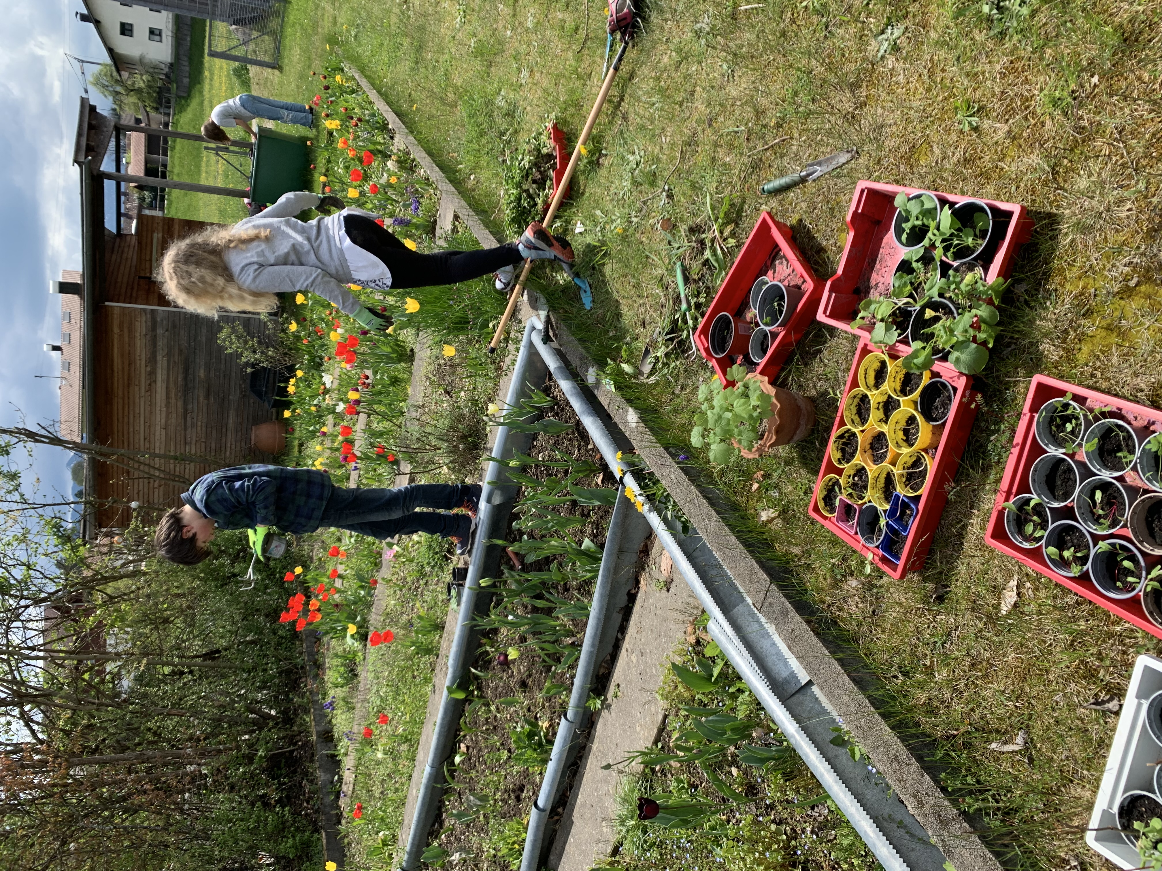 Schulgarten: Arbeiten im Frühjahr