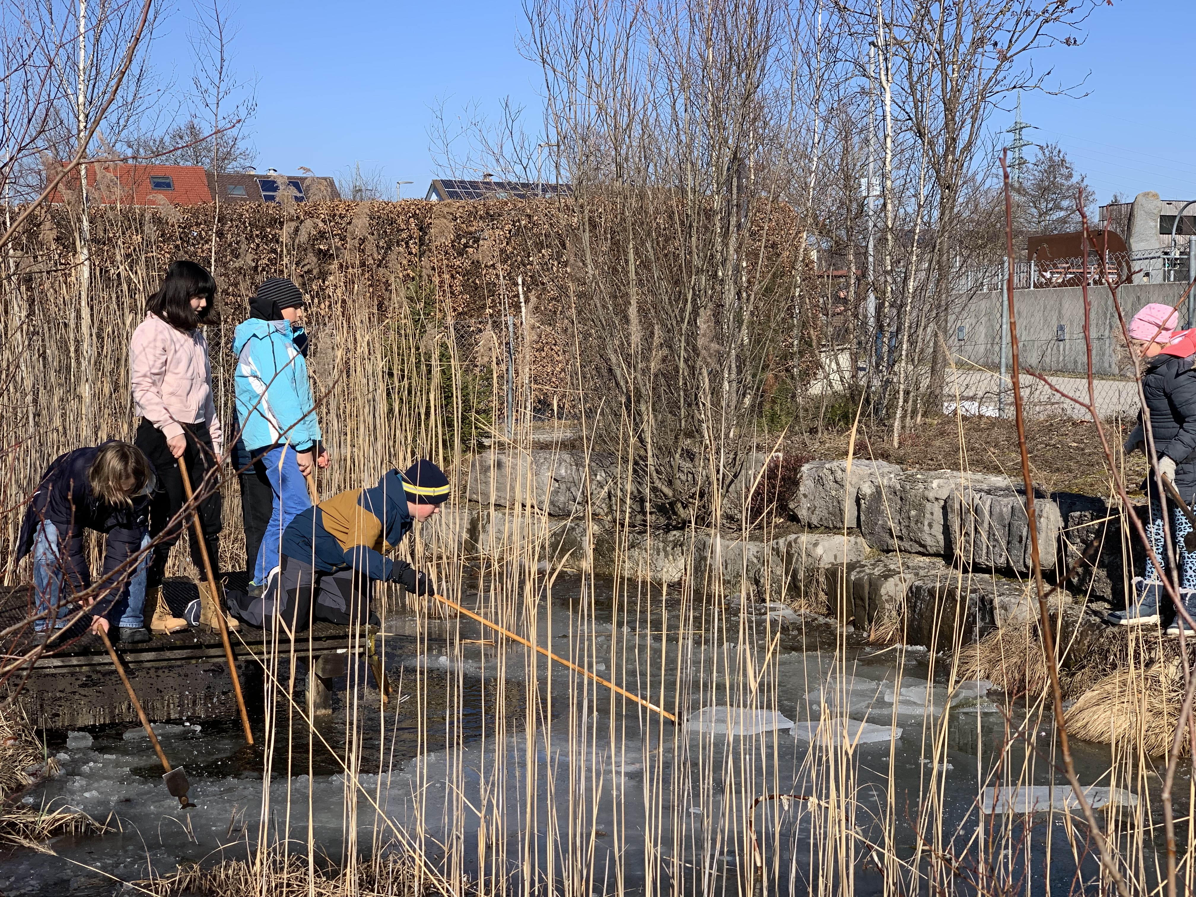 Schulgarten: Spaß im Winter