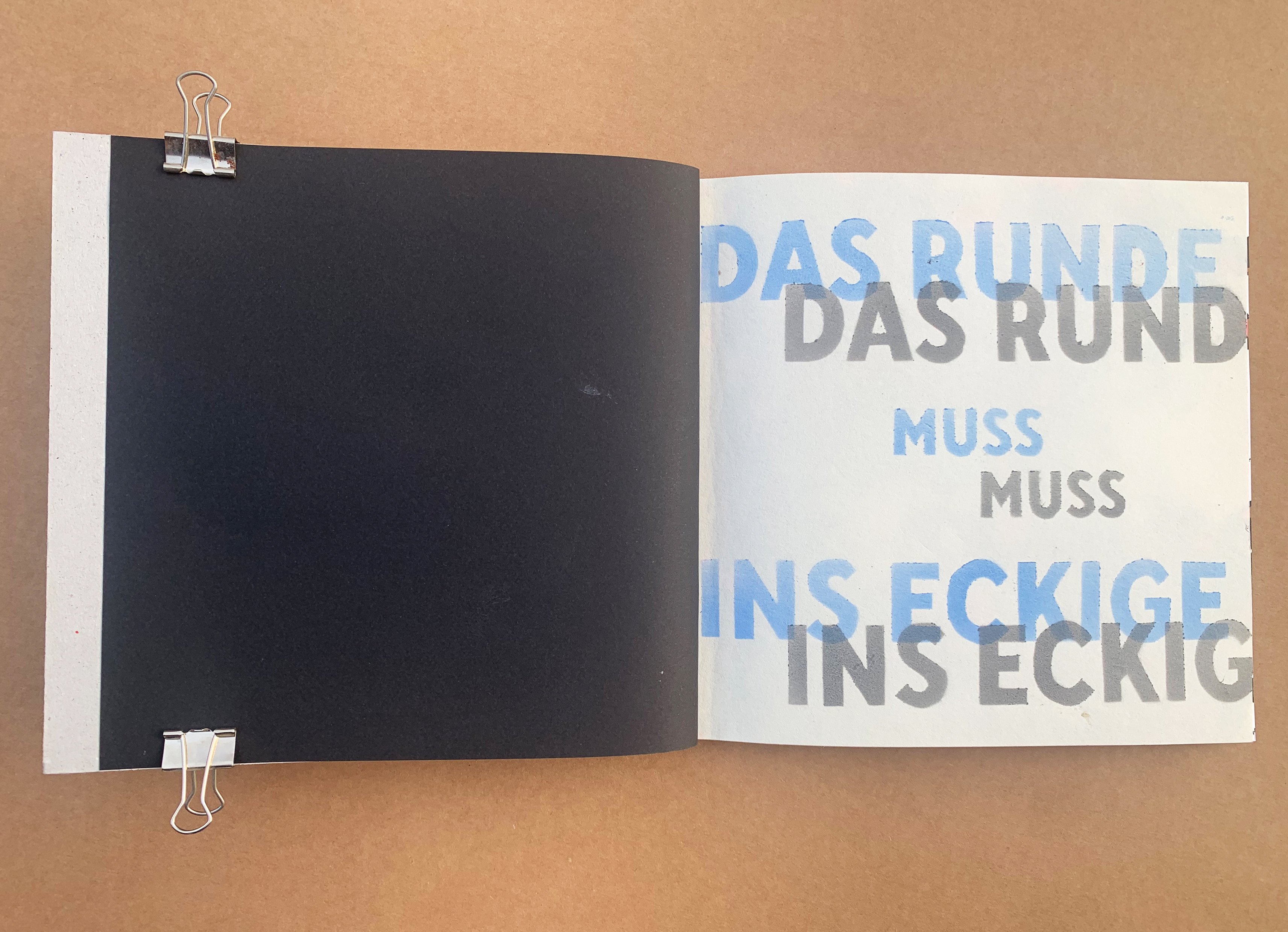 Steinleitner, Jona, Buch, Titelseite, Das Runde muss ins Eckige, W-Seminar [photo]BUCH, 2020